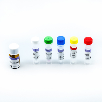 DNA RNA 추출 PCR 신속 시험 장비 메디컬 진단상의