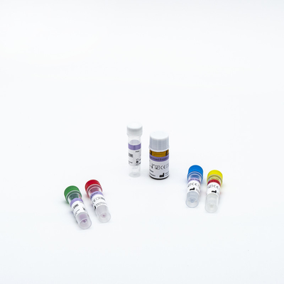 OEM ODM 서비스 PCR 시약 키트