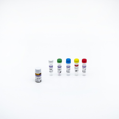 RNA 추출 핵산 정화 동작 키트