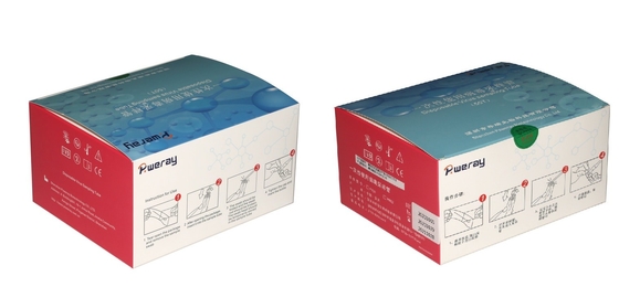 Covid-19를 위한 3ML 버릴 수 있는 VTM 시험 키트 바이러스 샘플링