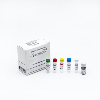 ISO 13485 인증과 핵산 검출 빠른 PCR 시험 키트