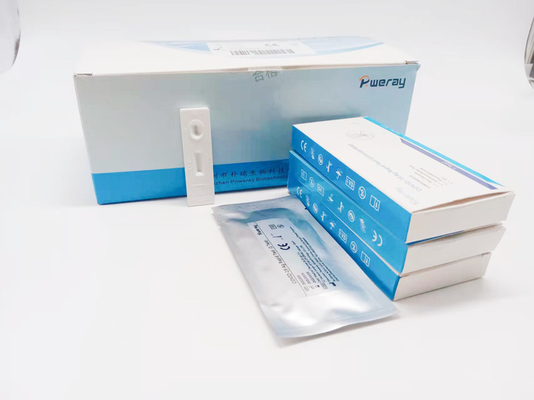 CE는 단일 스텝 핵산 증폭 검사 PCR NAAT 핵실험 타액 면봉을 승인했습니다